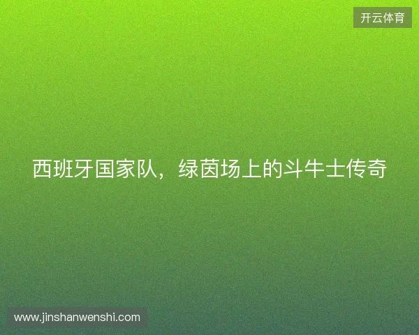 西班牙国家队,绿茵场上的斗牛士传奇 西班牙国家队,绿茵场上的斗牛士传奇